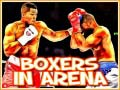 Mäng Boxers in Arena