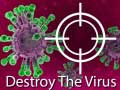 Mäng Destroy The Virus