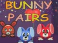 Mäng Bunny Pairs