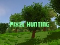 Mäng Pixel Hunting