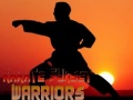Mäng Karate Sunset Warriors