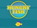 Mäng Hungry Fish