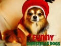 Mäng Funny Christmas Dogs