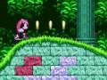 Mäng Mighty & Ray In Sonic 2