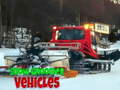 Mäng Snow Groomer Vehicles