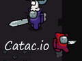 Mäng Catac.io