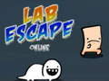 Mäng Lab Escape Online