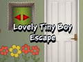Mäng Lovely Tiny Boy Escape