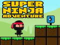 Mäng Super Adventure Ninja