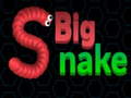Mäng Big Snake