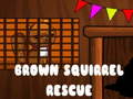 Mäng Brown Squirrel Rescue