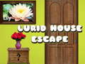 Mäng Lurid House Escape