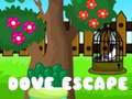 Mäng Dove Escape