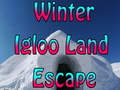 Mäng Winter Igloo Land Escape 