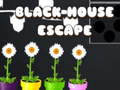 Mäng Black House Escape