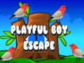 Mäng Playful Boy Escape