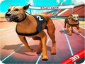Mäng Crazy Dog Race
