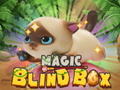Mäng Magic Blind Box