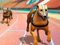 Mäng Dogs3D Races