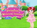 Mäng Princess House Cleanup