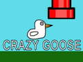 Mäng Crazy Goose
