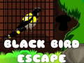 Mäng Black Bird Escape