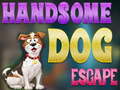 Mäng Handsome Dog Escape