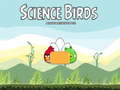 Mäng Science Birds