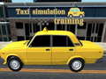 Mäng Taxi simulation training