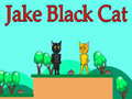 Mäng Jake Black Cat