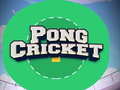 Mäng Pong Cricket