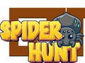 Mäng Spider Hunt