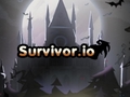 Mäng Survivor.io
