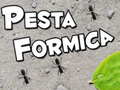 Mäng Pesta Formica