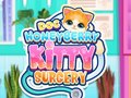 Mäng Doc HoneyBerry Kitty Surgery