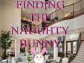 Mäng Finding The Naughty Bunny