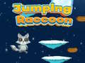 Mäng Jumping Raccoon