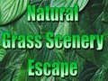 Mäng Natural Grass Scenery Escape