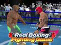 Mäng Real Boxing Fighting Game