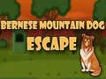 Mäng Bernese Mountain Dog Escape