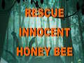 Mäng Rescue Innocent Honey Bee 