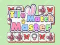 Mäng Tile Match Master