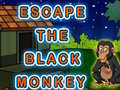 Mäng Escape The Black Monkey