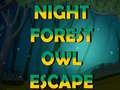 Mäng Night Forest Owl Escape