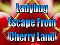 Mäng Ladybug Escape From Cherry Land