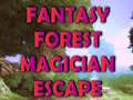 Mäng Fantasy Forest Magician Escape