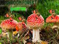 Mäng Mushroom Forest Adventure