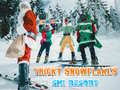 Mäng Ski Resort Hidden Snowflakes