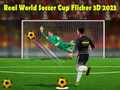 Mäng Real World Soccer Cup Flicker 3D 2023