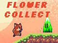Mäng Flower Collect